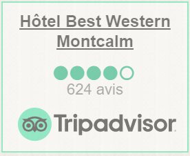 tripadvisor